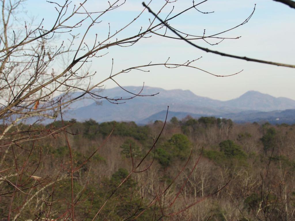 View! Cozy, Private, Fireplace, Hot Tub Log Cabin, Honeymoon! Sevierville Dış mekan fotoğraf