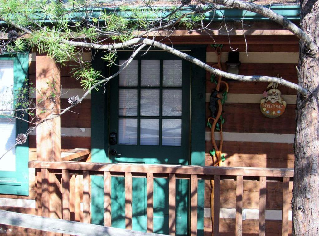 View! Cozy, Private, Fireplace, Hot Tub Log Cabin, Honeymoon! Sevierville Dış mekan fotoğraf
